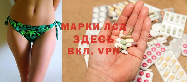 дмт Алзамай